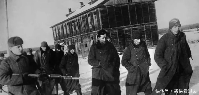 反抗|一个兵押送一群战俘:不要再问“为何不反抗”的蠢话