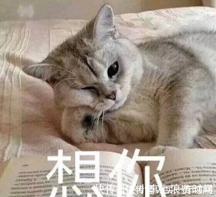 |搞笑表情包图片:请注意你的言行举止,略略略略!