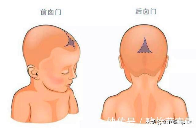 前囟门|宝宝囟门是健康“灯塔”，若出现几种信号，可能健康亮了“红灯”