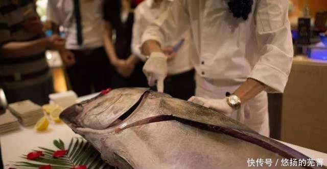 日本人钟情的“美食”，捕捞到直接生吃，现在越吃越少