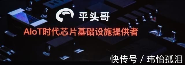 平头哥|马云立功了！阿里达摩院为国争光，打破一项世界纪录