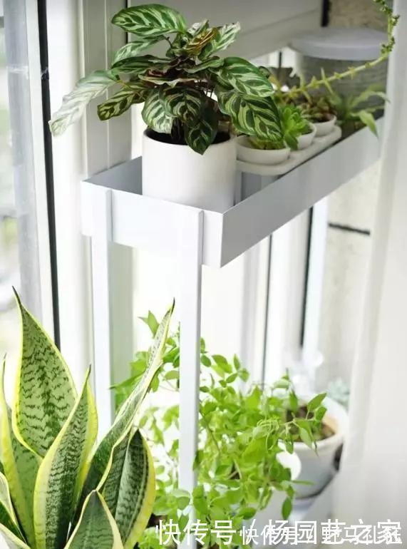 洗衣机|只有一个阳台,一定不要乱装!这么做等于多了一间房,实用