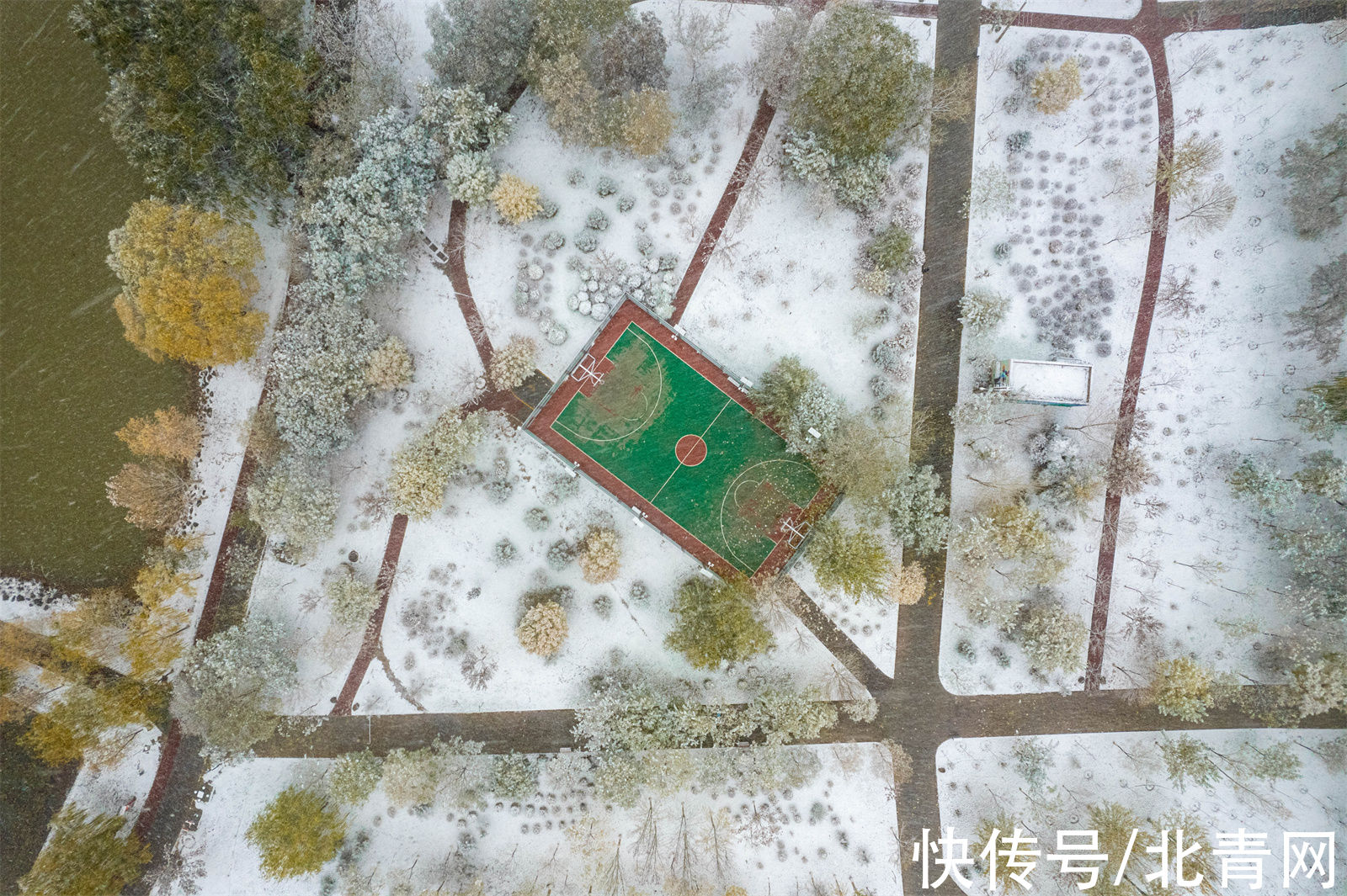 大雪|银川大雪纷飞！在2021年秋天的最后一天