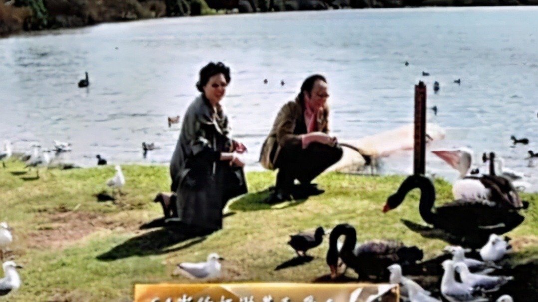 闪婚|著名歌唱家杨洪基与妻子交往半年就闪婚,48年从不敢直呼其名