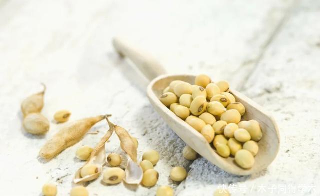 虎皮兰太好养了,剪段叶子,插土里就能活