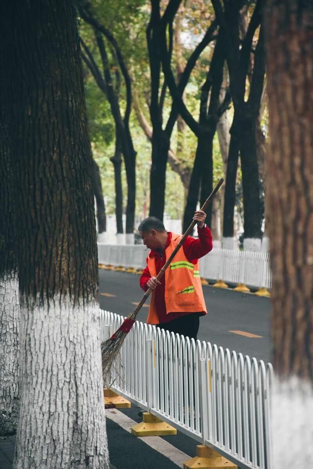  能予|青年眼｜一花一叶也能予人力量