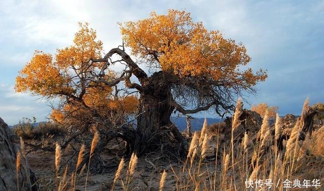 奋斗|马识途人到五十,有一件事比奋斗重要,谁能做到就是成功