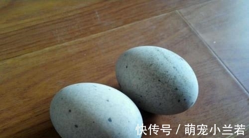 泥灰|买皮蛋时，看到这4种扭头就走的是聪明人，商贩也从不让家里人吃