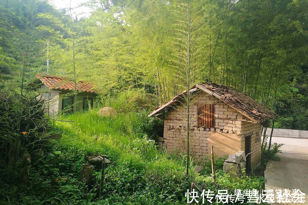 回家|山村楼房装修豪华，门前堆满柴火，2个儿子3年没回家