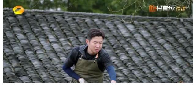 蘑菇|《向往5》官方親自下場官宣，最終收官時間點確定，觀眾：不夠看