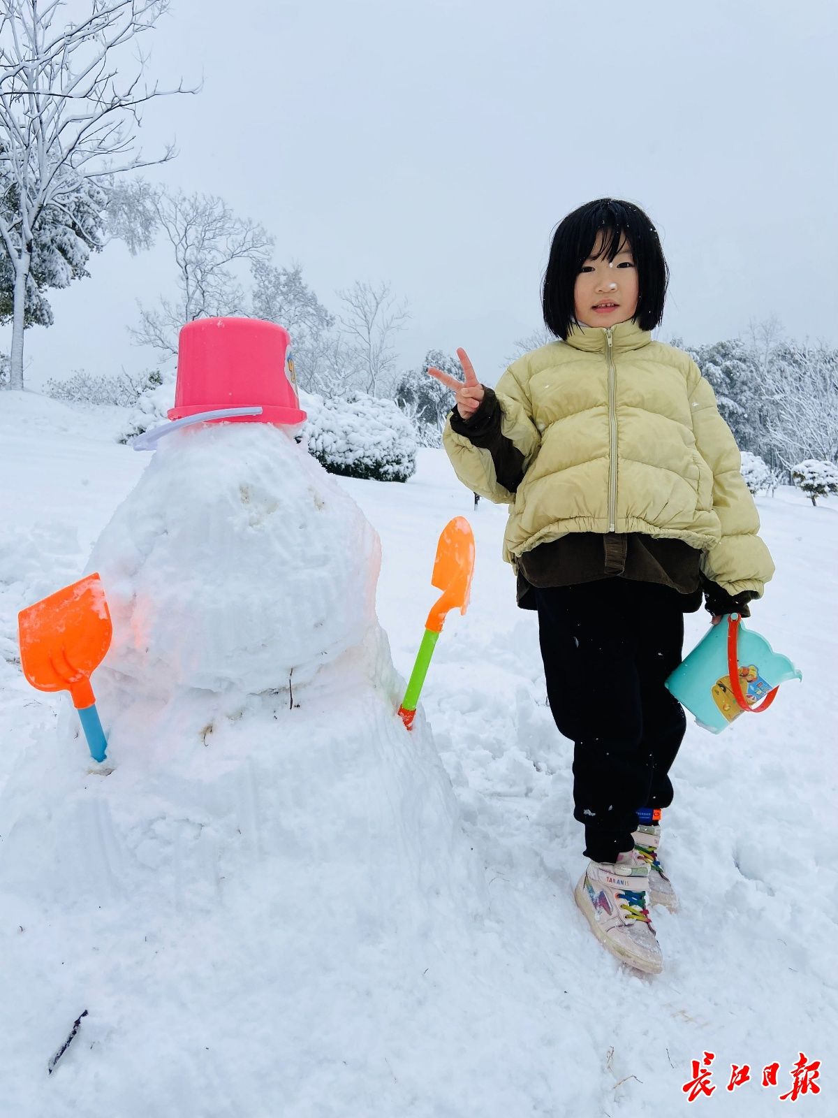 胡九思|虎年迎初雪，武汉“银装素裹”