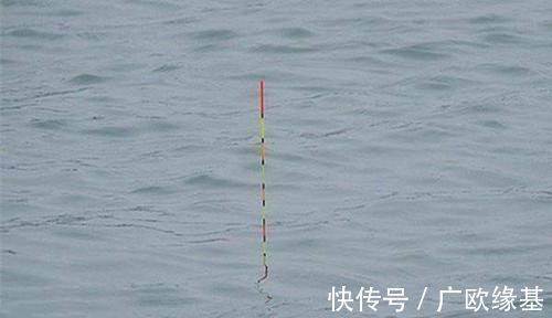 钓目|钓鱼人的必修课：钓鱼调漂，何时最灵？何时最钝？
