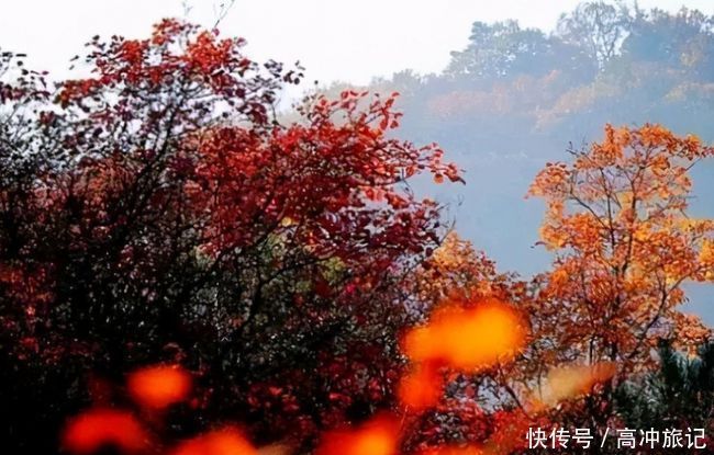 高速口|想去石家庄周边爬山，推荐这三处，景色好离市区也不远