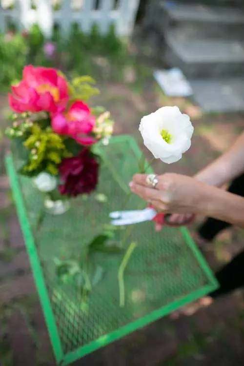 鲜花插几天就枯萎了不用花一分钱,10个小窍门让它开半个月