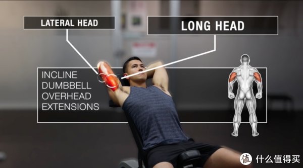 动作|只有哑铃，该如何训练肱三头肌？