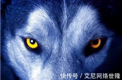 这部书|《狼图腾》看似写狼,其实背后折射的生态和历史才是这部书的精髓