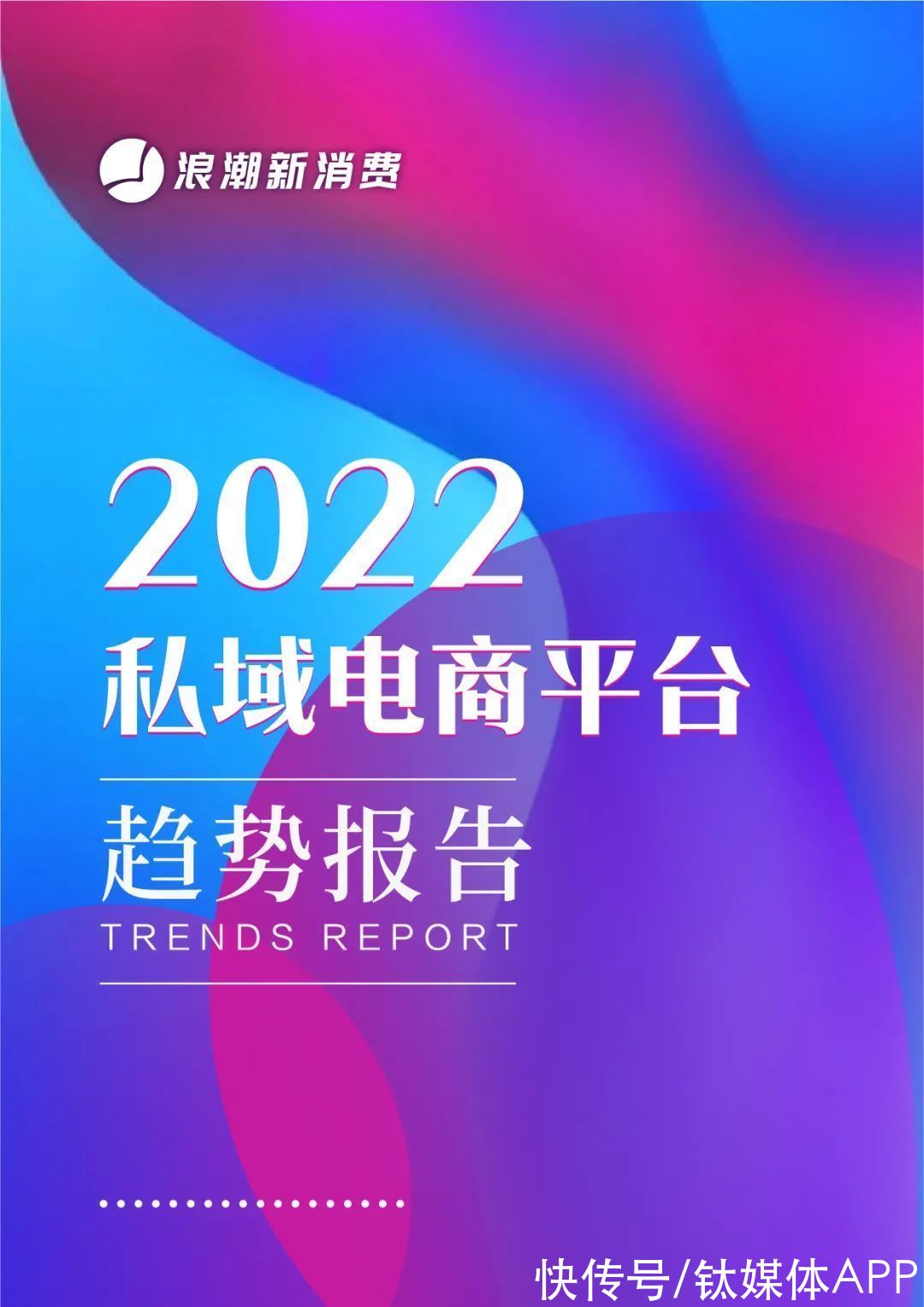 范式转换|《2022私域电商平台趋势报告》发布，私域中能否诞生下一个天猫？