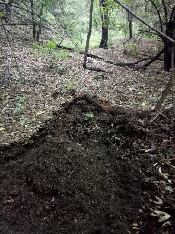 养花得用营养土!几种东西“混起来”,简单实用,养啥都旺!