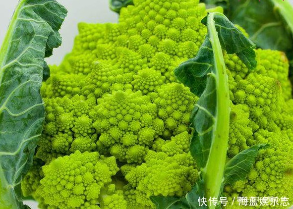 罗马花椰菜 长相似一座座宝塔 脆爽甘甜 营养也丰富 快资讯