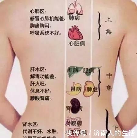 下焦|搞懂了人体的“三焦”,所有疑难杂症,都可迎刃而解,建议收藏!