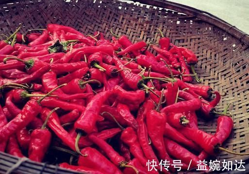 这5种蔬菜晒干后,比新鲜的还美味,多晒点囤起来,冬天拿来炖肉