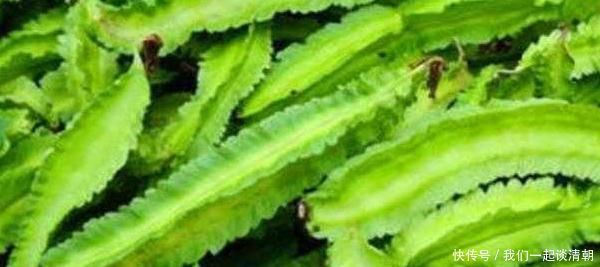 紫蒲桃|女性到了中年，4种食物要多吃，排毒润肠，滋肝明目，营养又健康