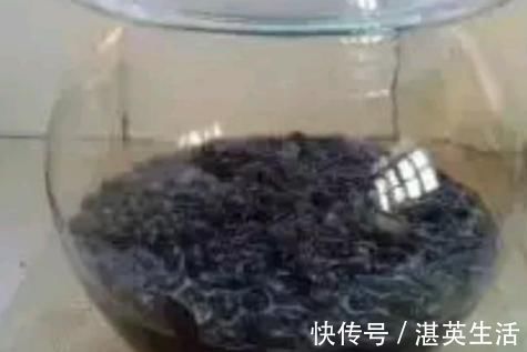 保护心血管|经常吃葡萄干好处多多，葡萄干和此物是“绝配”，不妨试着吃一些