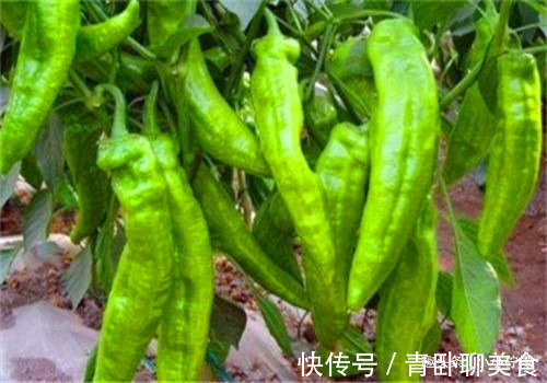 瘦身|人到中年推荐常吃4种食物，排毒消脂，润肠通便，营养又瘦身