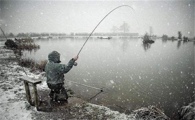 数九寒天钓鱼,爆护时机选择排行榜,什么时机能爆护,一看便知