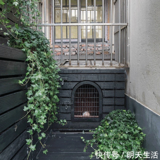 蜗居|40天整容级爆改11㎡小户型,破烂蜗居变花园别墅!一手烂牌打王炸