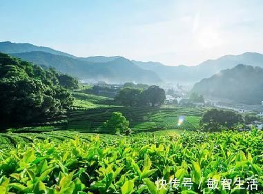 清新|杨万里的两首绝句，清新朴实，美如画卷，更令人百读不厌