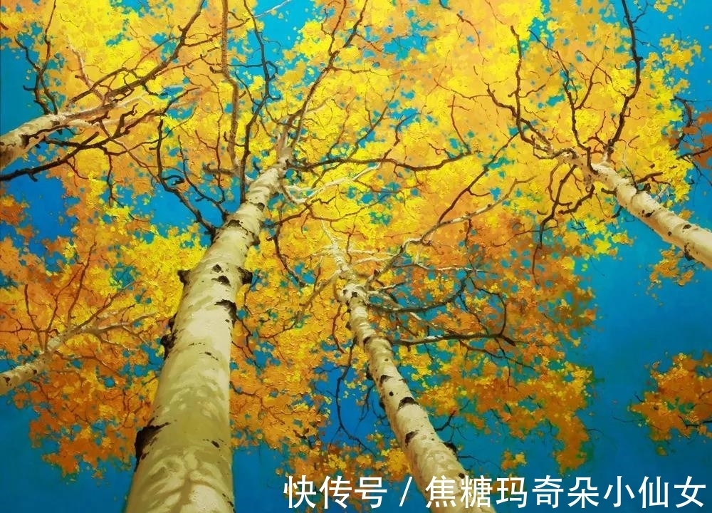 美国肖像协会!白桦林之美