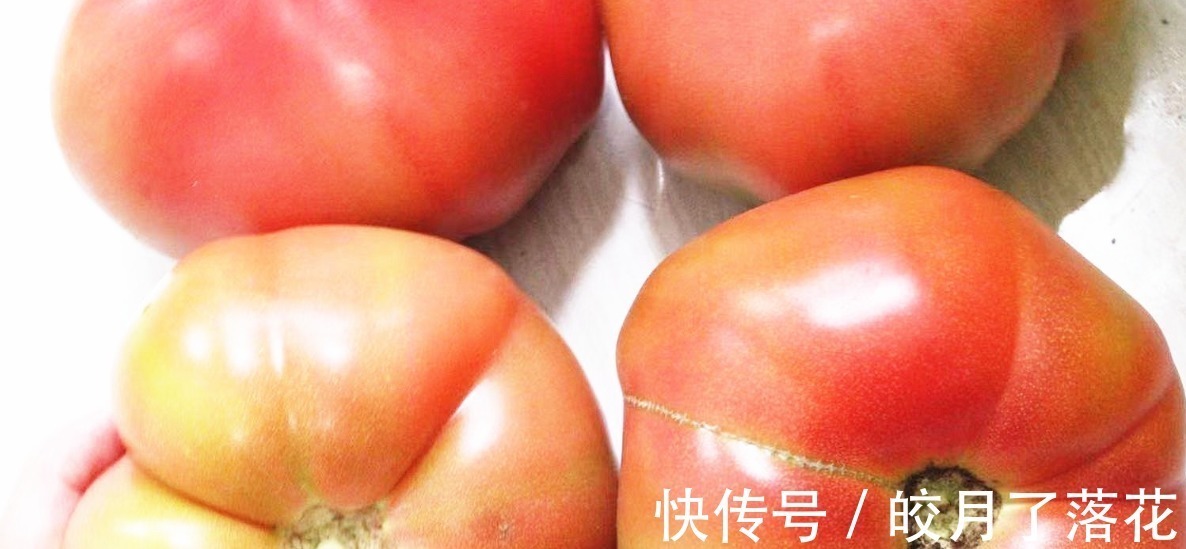 没人告诉你“激素西红柿”长啥样,今天和大家说说,记得告诉家人!