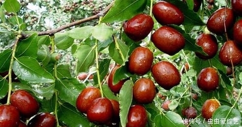 呵护|大“姨妈”来找时，这3种碱性食物要多吃，呵护卵巢，凸显女人味