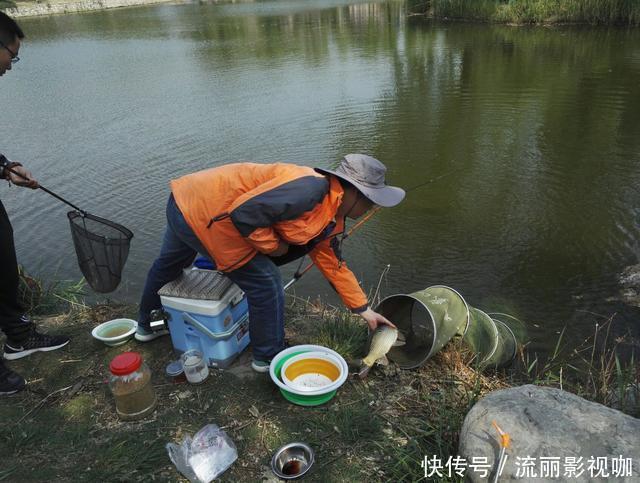 茅坑下大鱼聚集，揭示出核心诱鱼原理，钓鱼人必须看懂