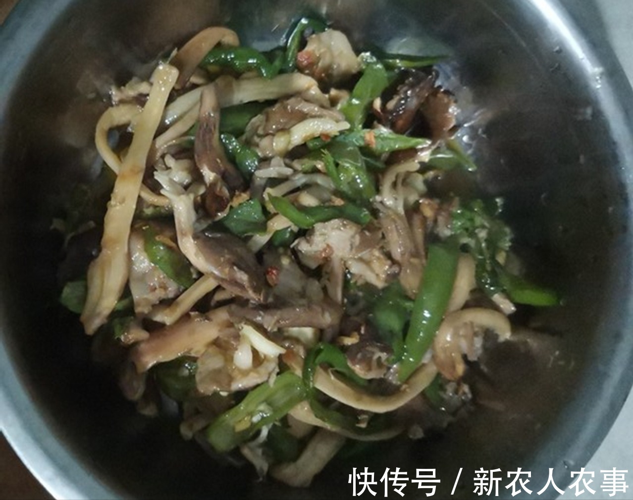 稀罕事|卧室墙上长鸡枞,“菌子王国”云南的又一稀罕事,网友:天降美食