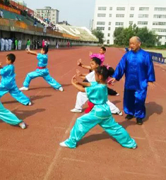 中国武术九段徐其成