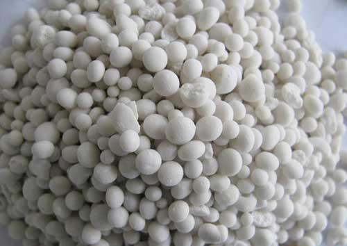 多肉植物爱吃2种肥,根系健壮,叶子肥厚,养成老桩