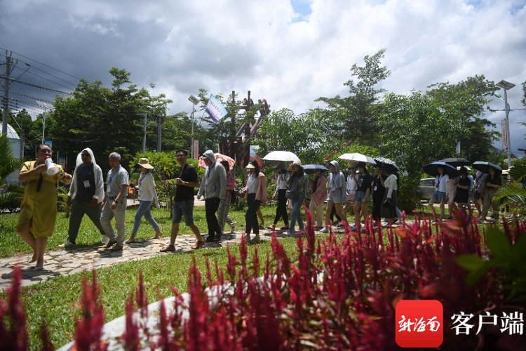 休闲|全媒体看海南丨采访团走进乐东西黎村 感受“休闲农庄+数字乡村”发展新动力