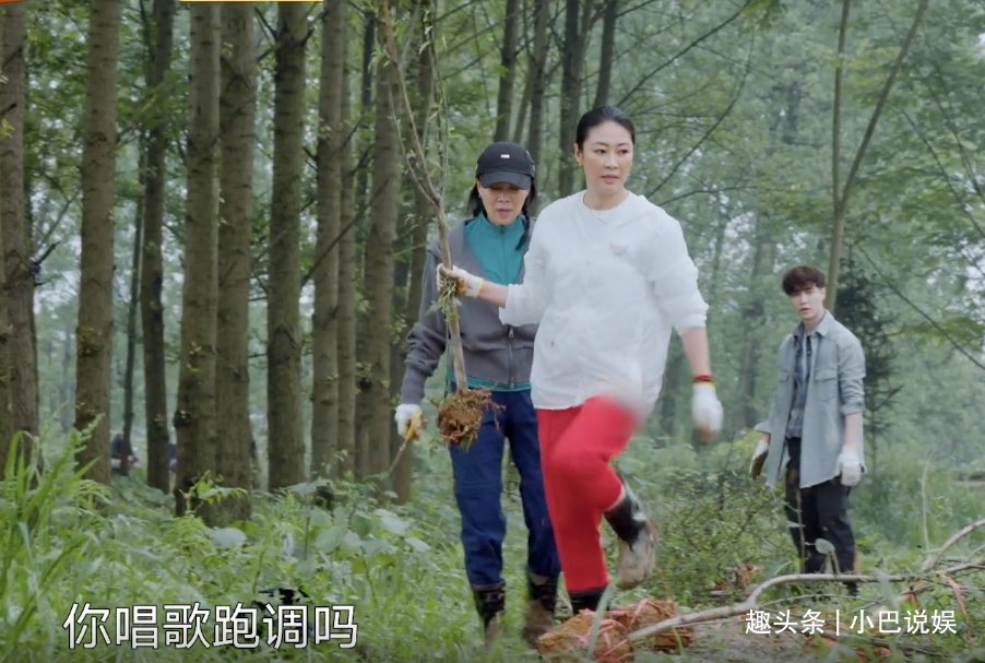蘑菇|那英问张艺兴“你唱歌跑调吗”，张艺兴回击的方式很高级