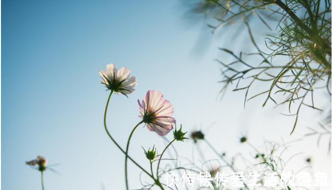 肠镜检查|害怕得大肠癌症,这八种高危人群一定要查下肠镜