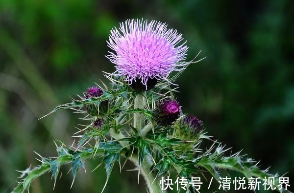 张烈|12生肖出生在这些月份，必会一夜暴富，有钱又安康！