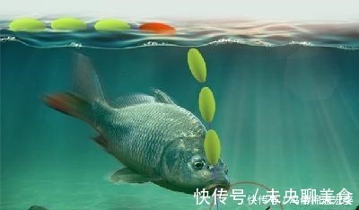 冬季传统钓上鱼多,朝天钩的功劳多,解析朝天钩在冬钓的优缺点