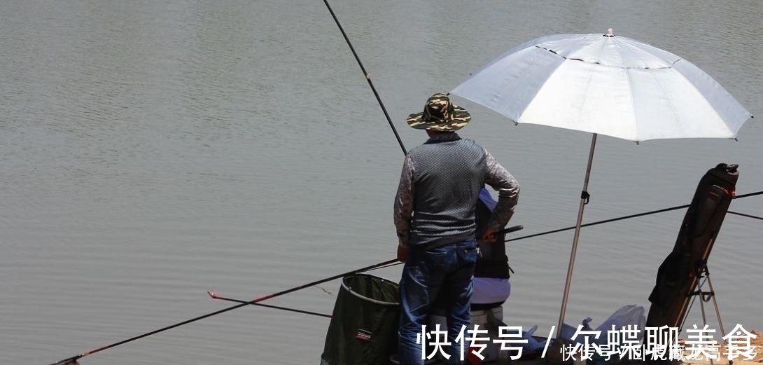 冬季|冬季玩“传统钓”比“台钓”上鱼快?看完这个分析,孰优孰劣立判