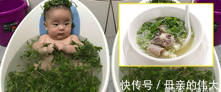 泡脚|小小艾草，5大功效！9个民间妙用方，横扫百病！收藏以备不时之需