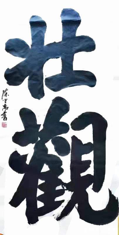 书法艺术|陈守忠——中国书法家协会会员作品鉴赏