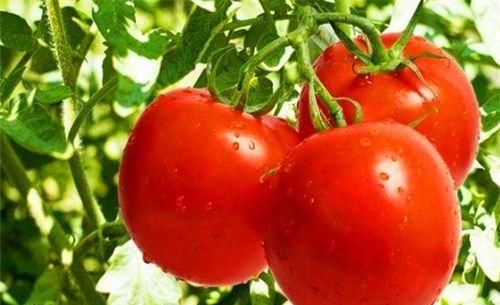 女人爱美要会吃，推荐3种食物，补充营养，延缓衰老，增强体质