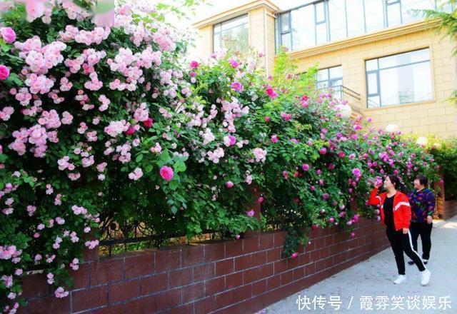 云南发现一户人家,犹如仙境一般,进去就不想走了,世外桃源