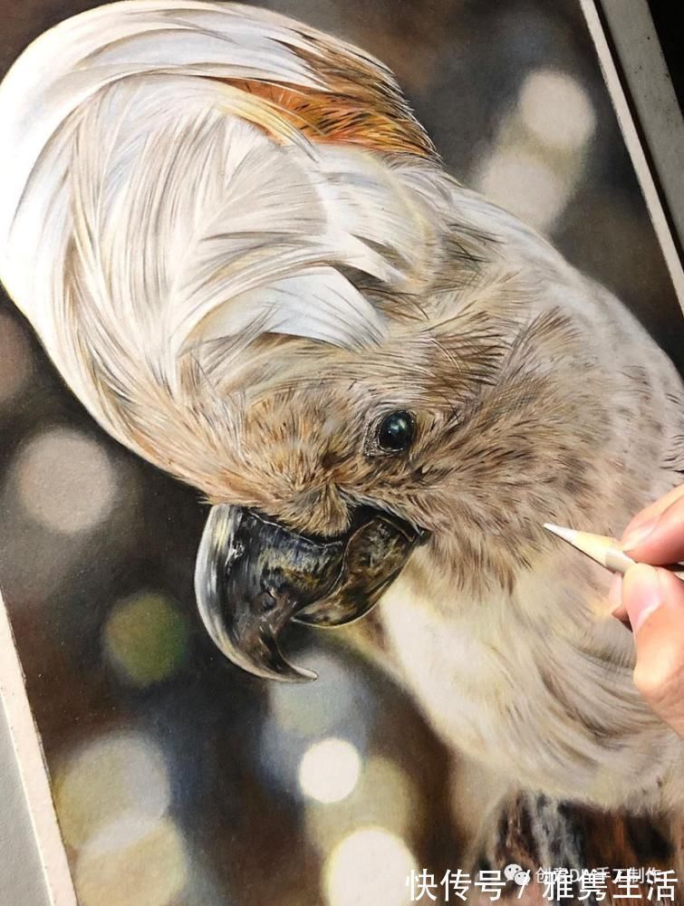 音海#超拟真动物画,每根毛发都这么细致,网友惊呼真假分不清