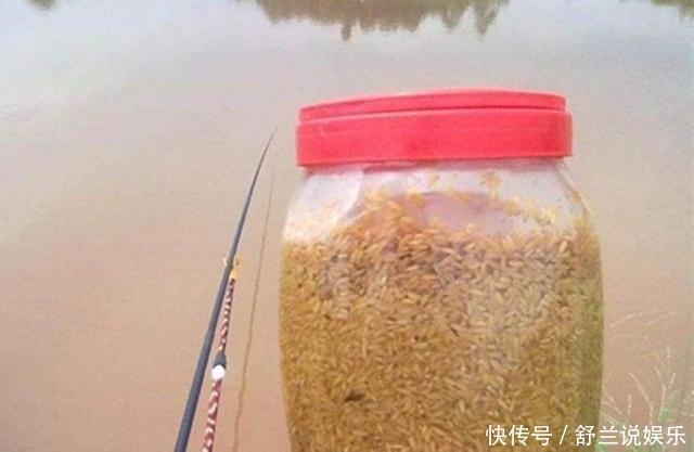 打窝子|打窝子的步骤,在实际垂钓中,如何操作